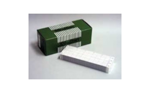 日本千野 CHINO  EM303-EL系列記錄紙