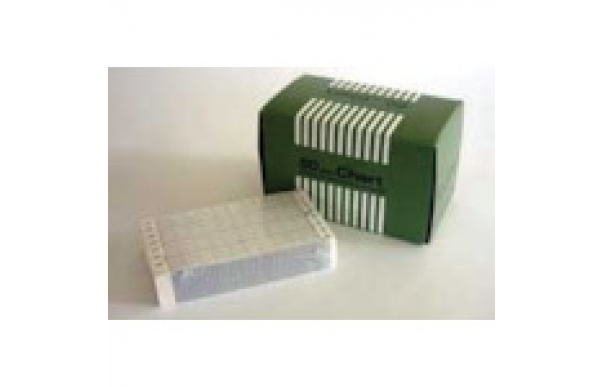 日本千野 CHINO ES204-ES600系列記錄紙